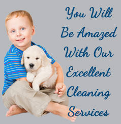 Professional Cleaning Services